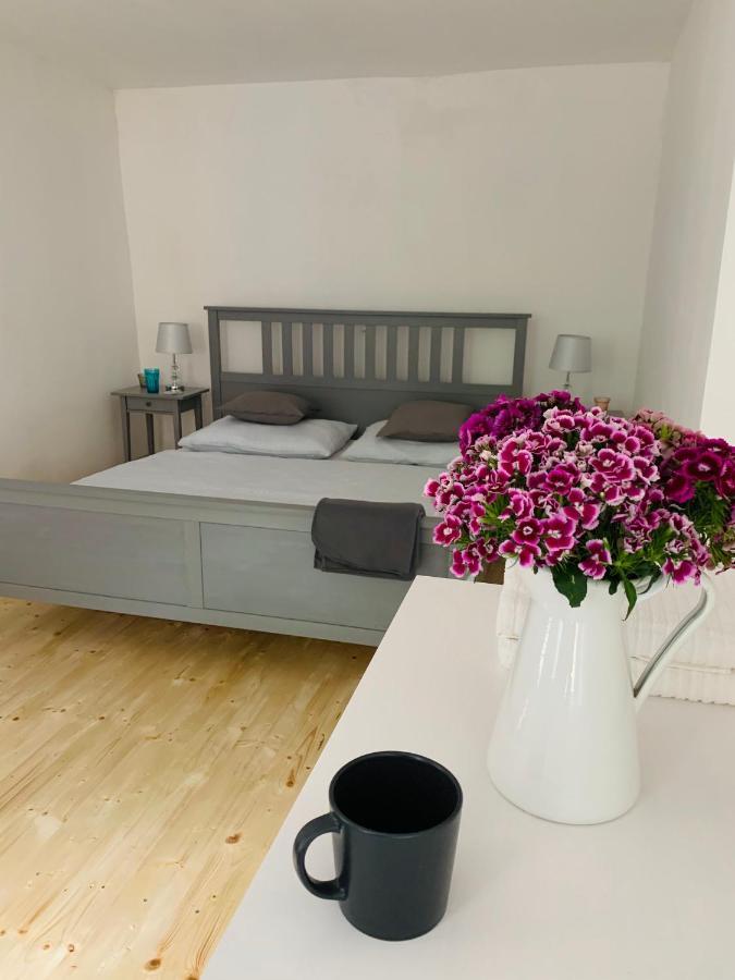 Apartmany Stara Posta Božanov 外观 照片